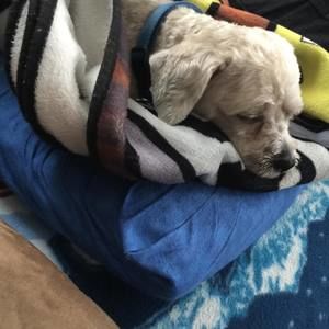 Meet your Posher, Mary ann